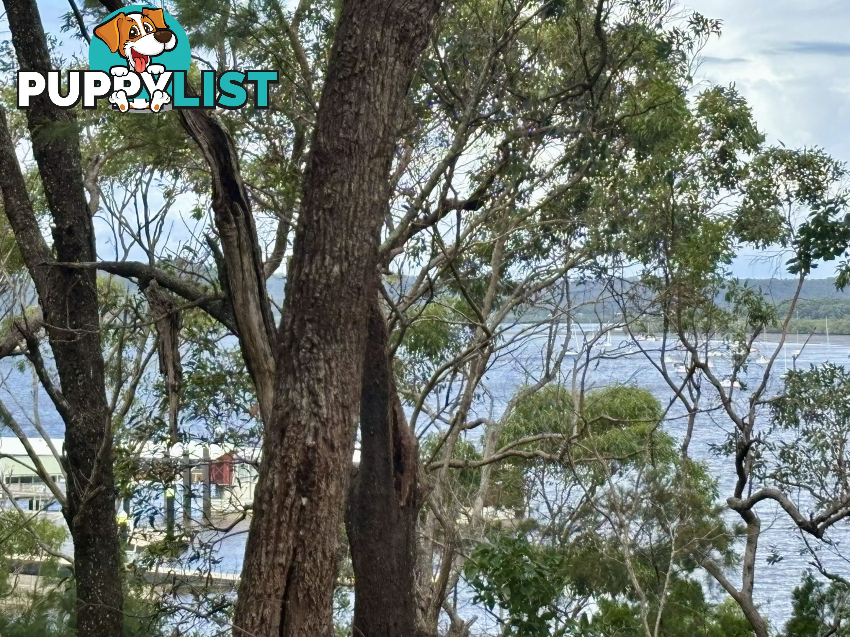 6-8 & 12-1 High Central Road MACLEAY ISLAND QLD 4184