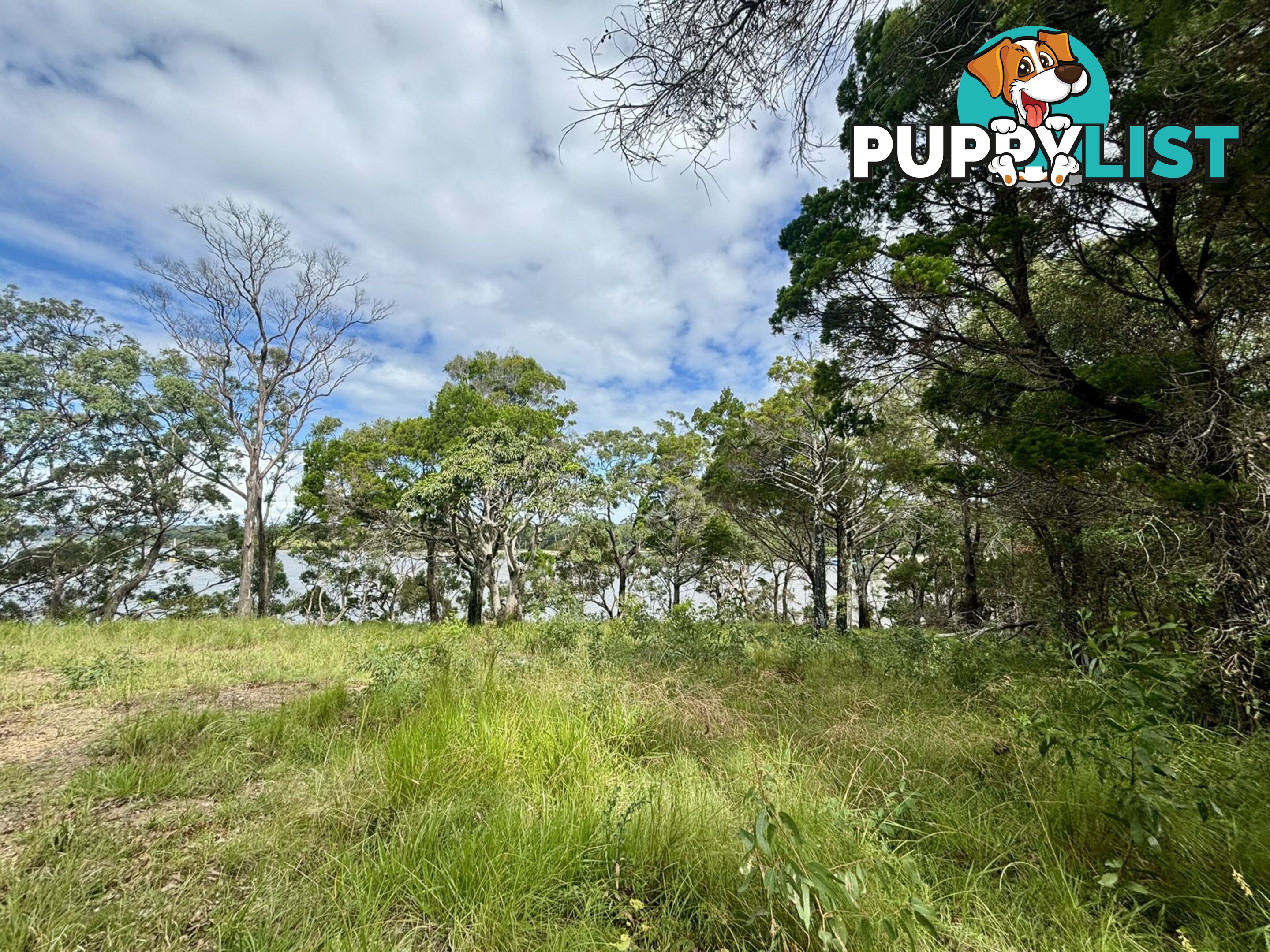 6-8 & 12-1 High Central Road MACLEAY ISLAND QLD 4184