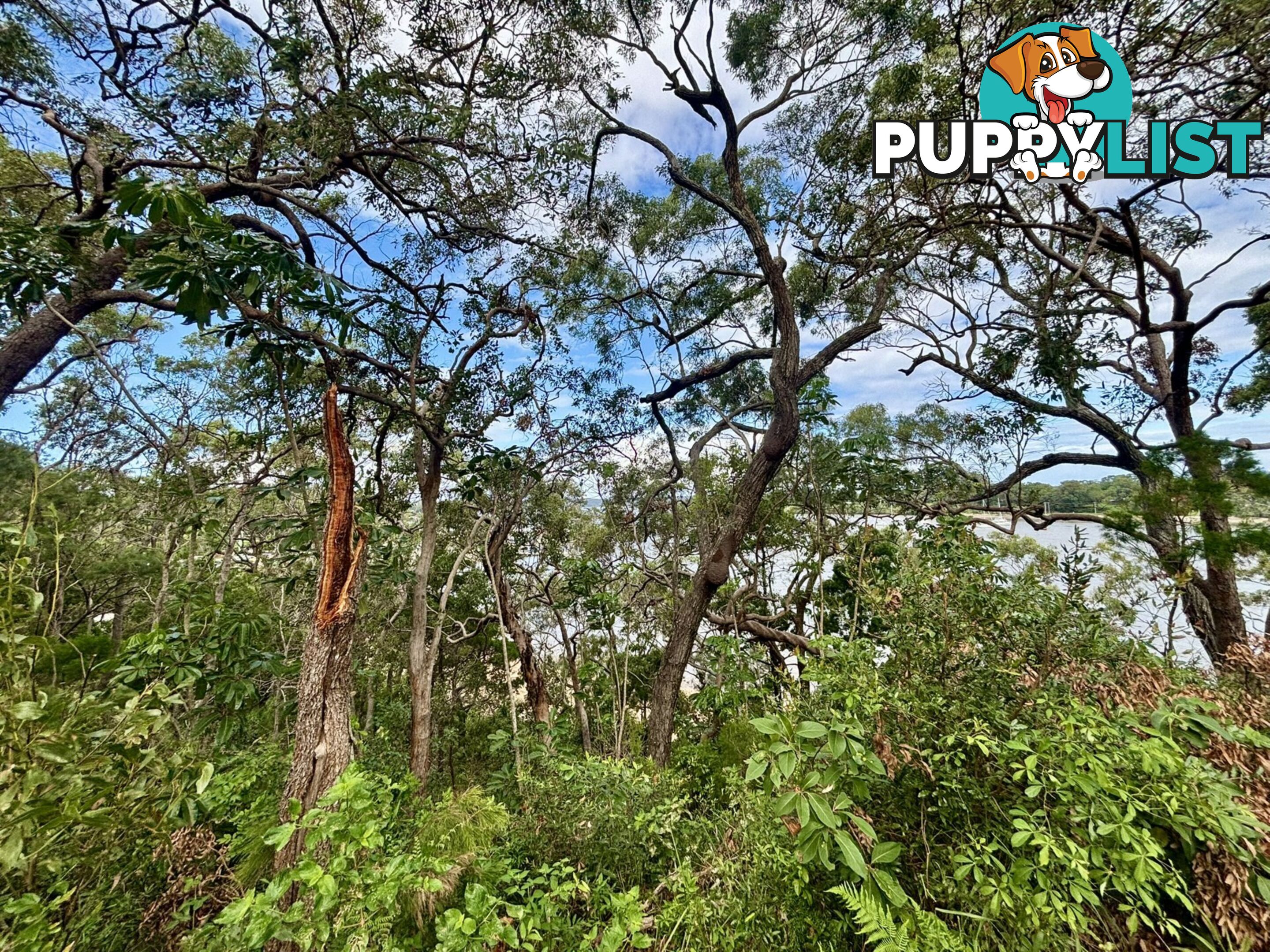 6-8 & 12-1 High Central Road MACLEAY ISLAND QLD 4184