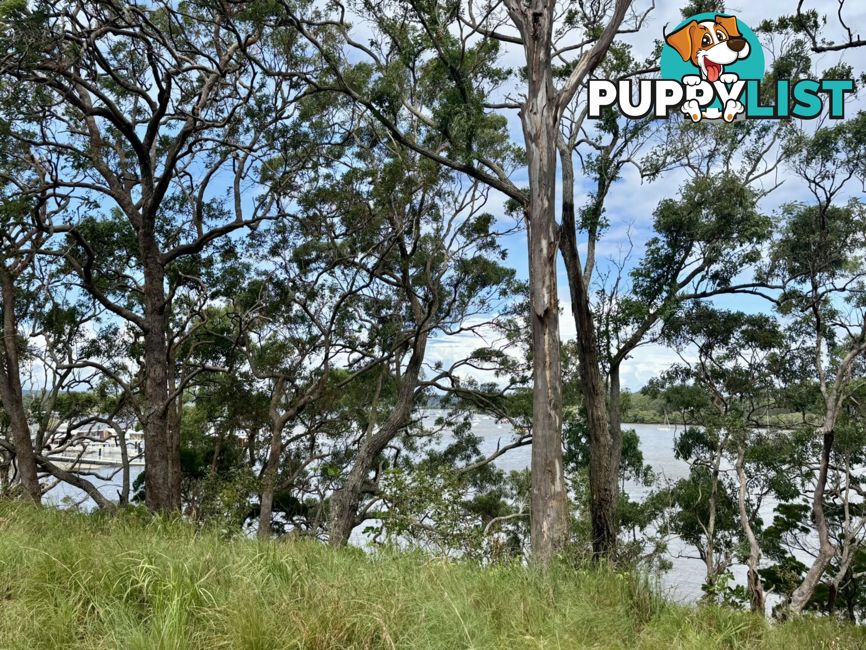 6-8 & 12-1 High Central Road MACLEAY ISLAND QLD 4184
