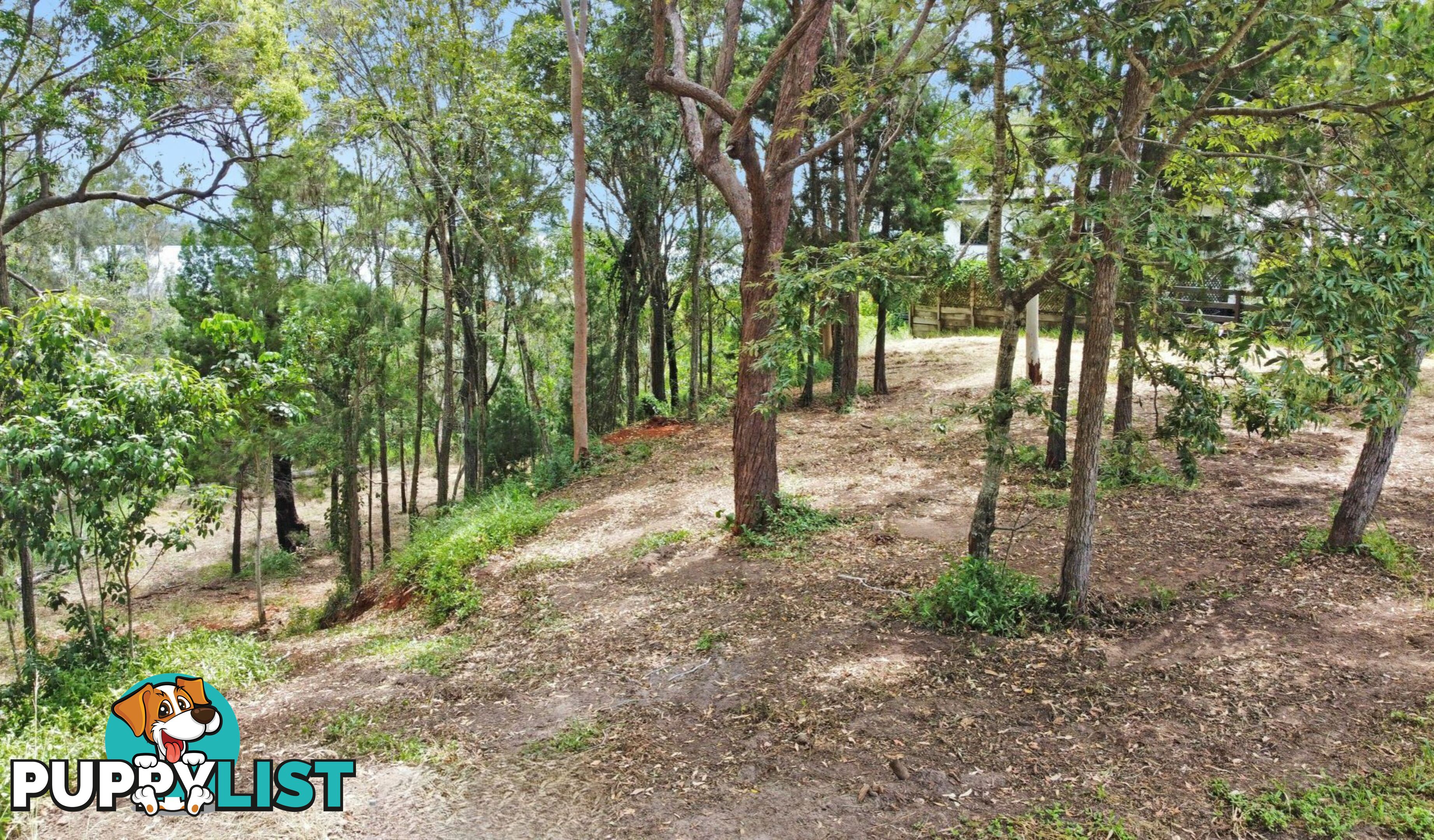 1-3 Coast Road MACLEAY ISLAND QLD 4184