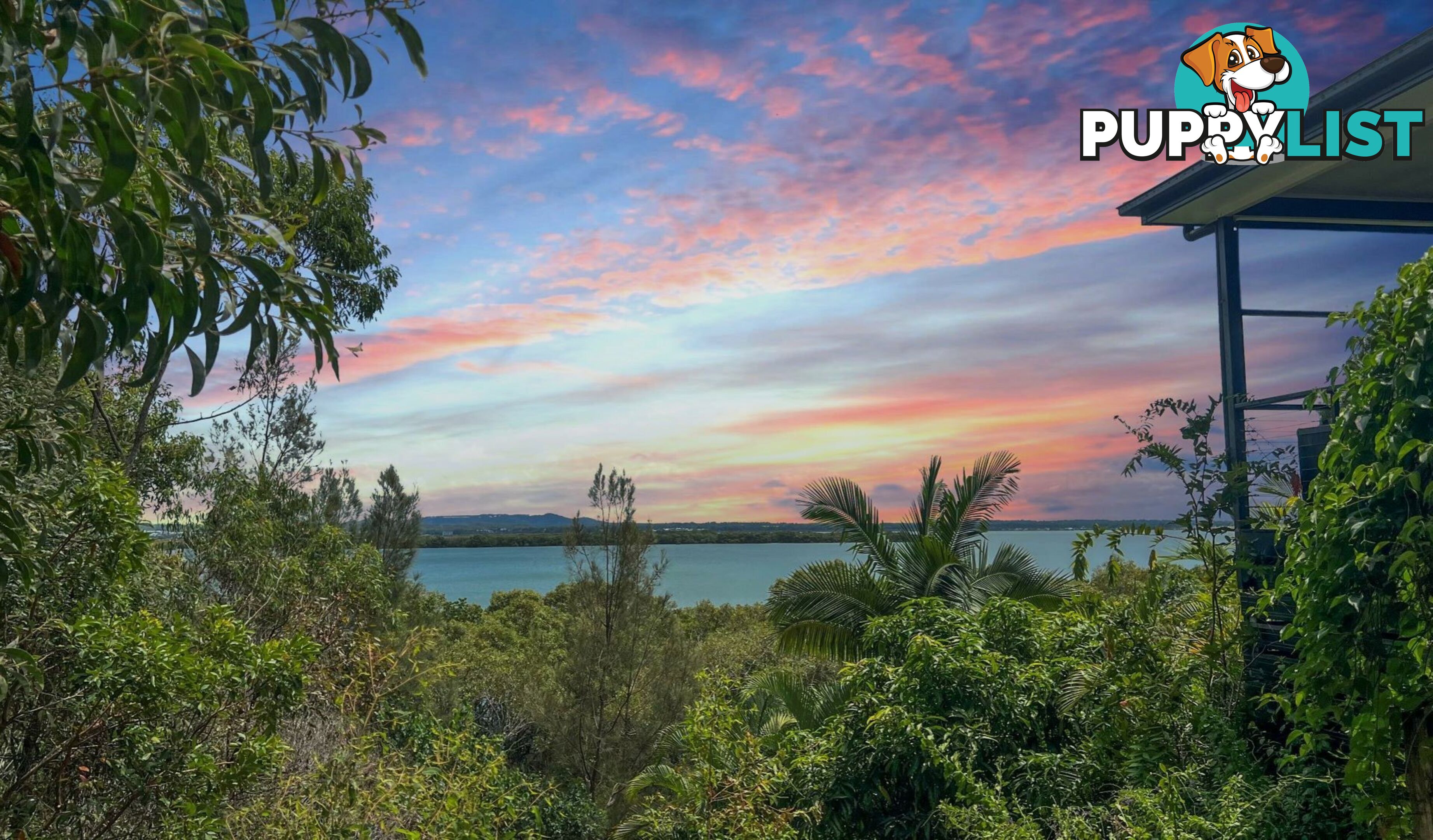 1-3 Coast Road MACLEAY ISLAND QLD 4184