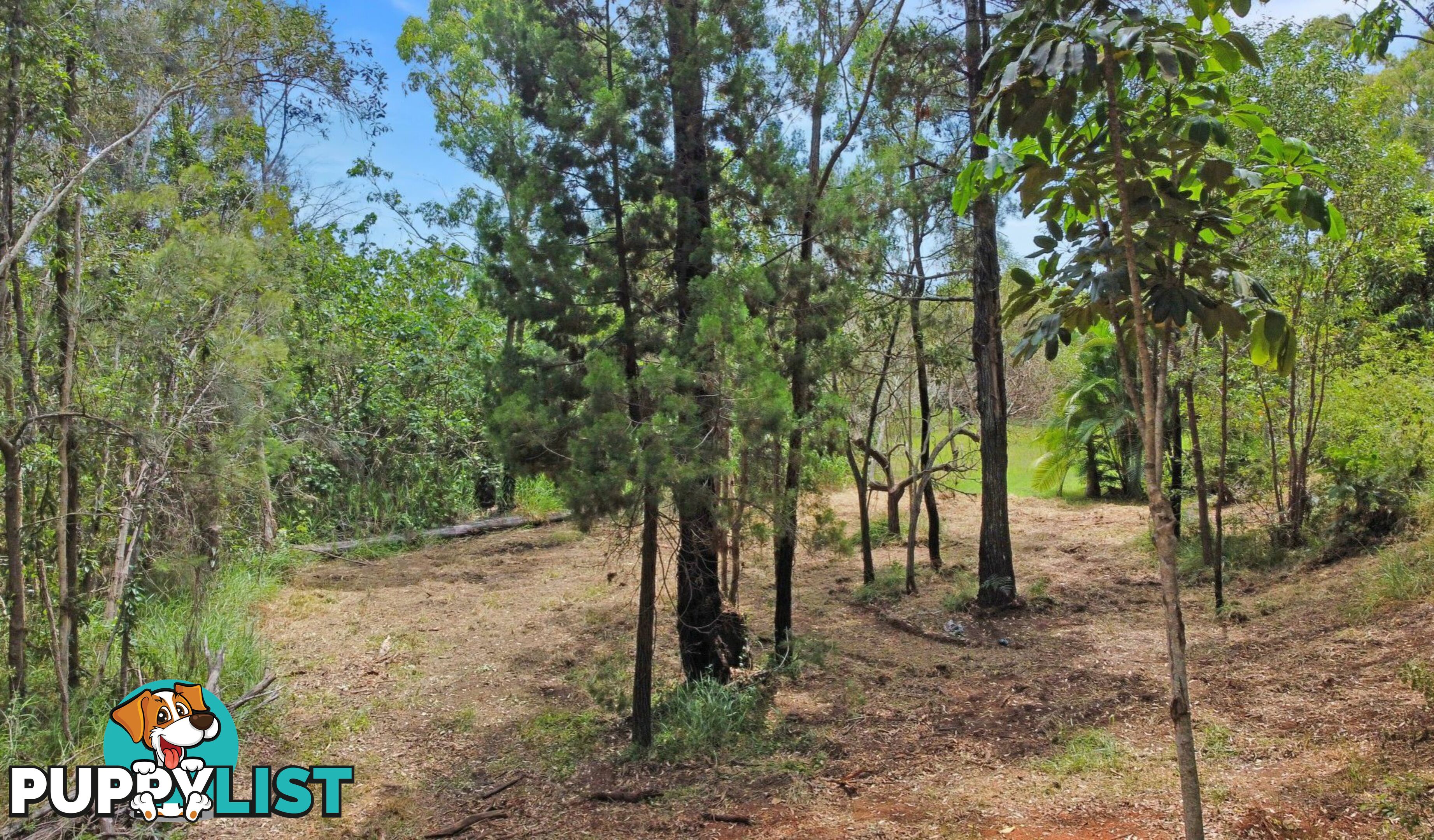 1-3 Coast Road MACLEAY ISLAND QLD 4184