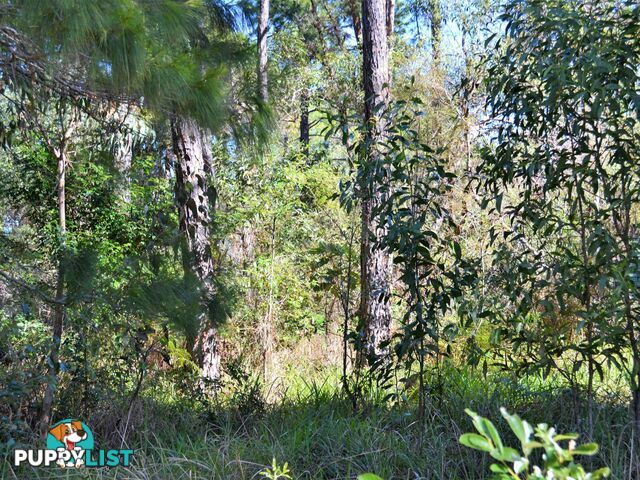 37 Kevin Street MACLEAY ISLAND QLD 4184