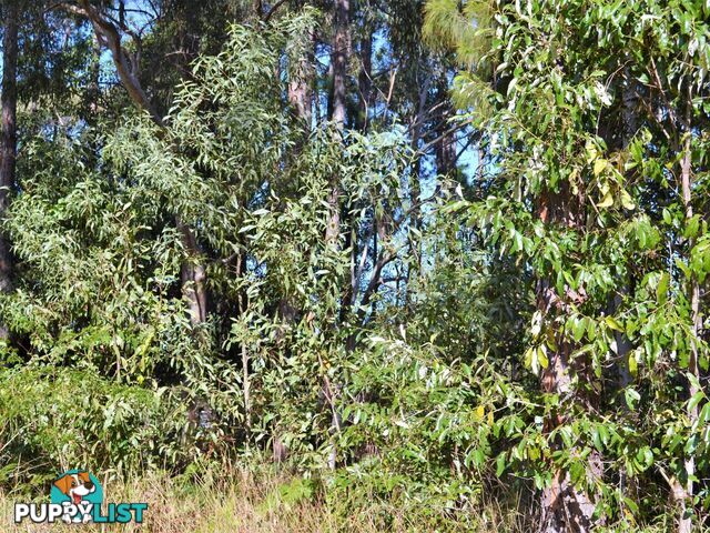 37 Kevin Street MACLEAY ISLAND QLD 4184