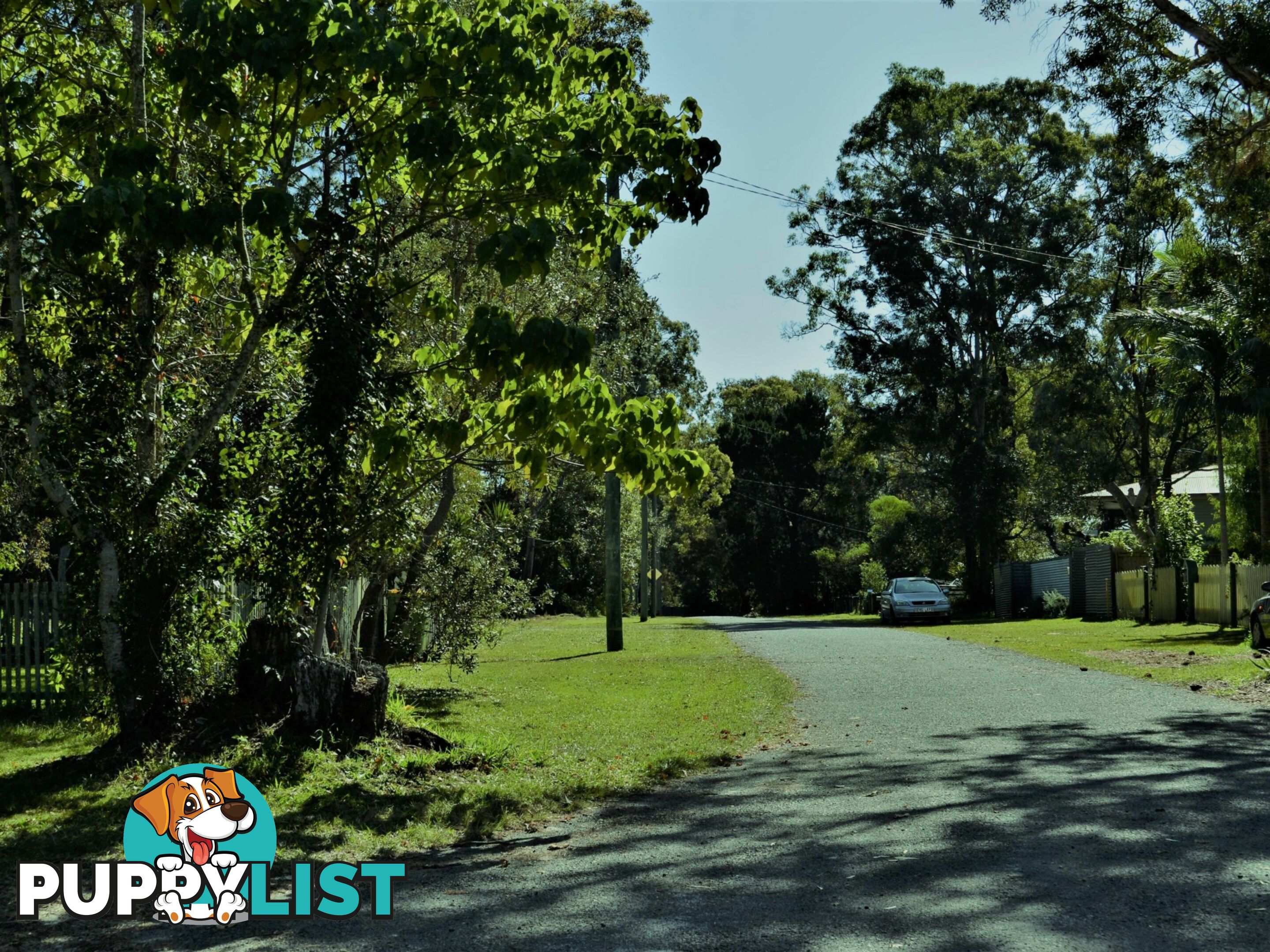 37 Kevin Street MACLEAY ISLAND QLD 4184