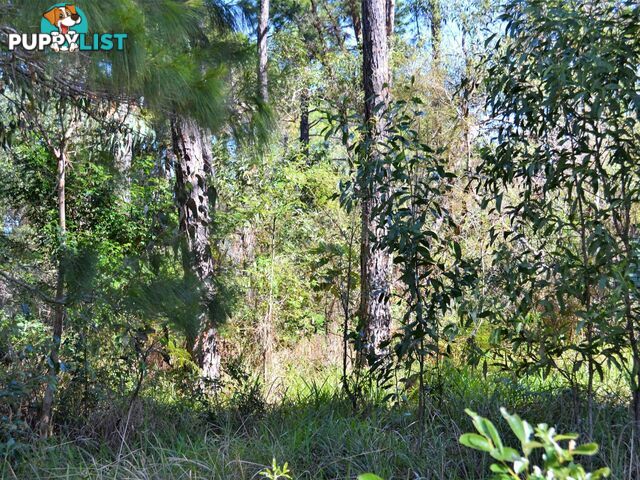 37 Kevin Street MACLEAY ISLAND QLD 4184