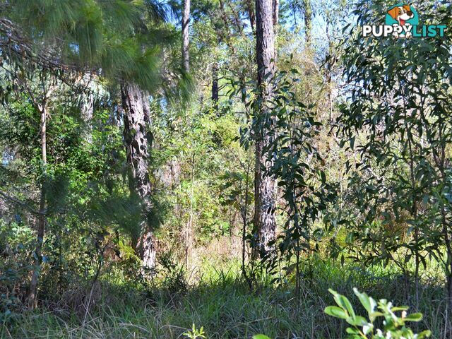 37 Kevin Street MACLEAY ISLAND QLD 4184