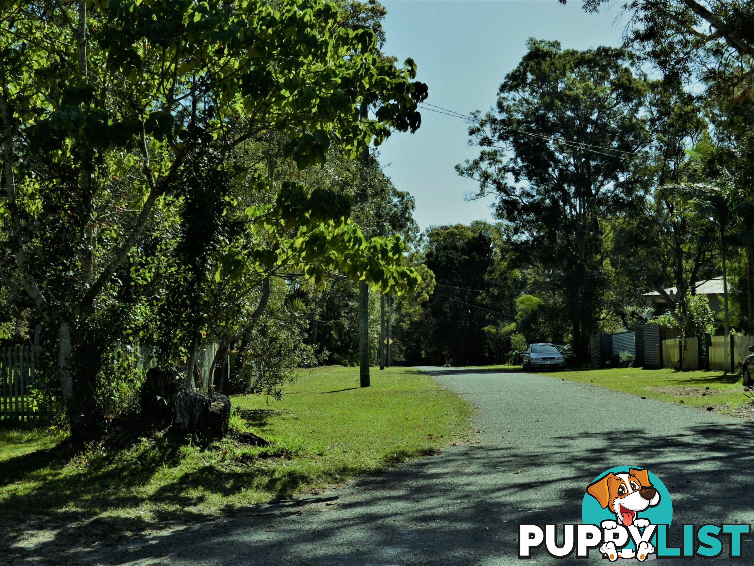 37 Kevin Street MACLEAY ISLAND QLD 4184