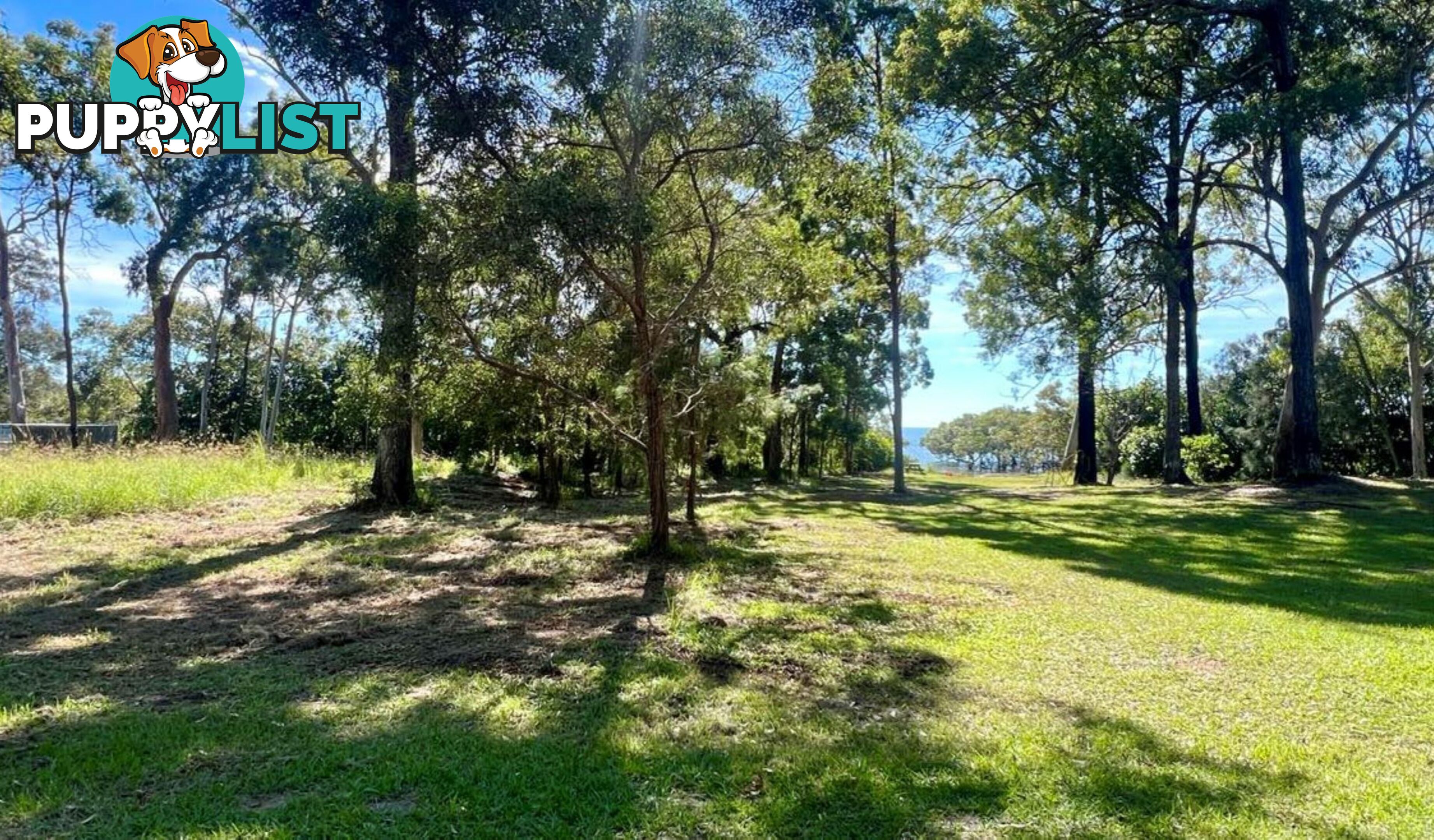 33 Blue Bay Crescent MACLEAY ISLAND QLD 4184