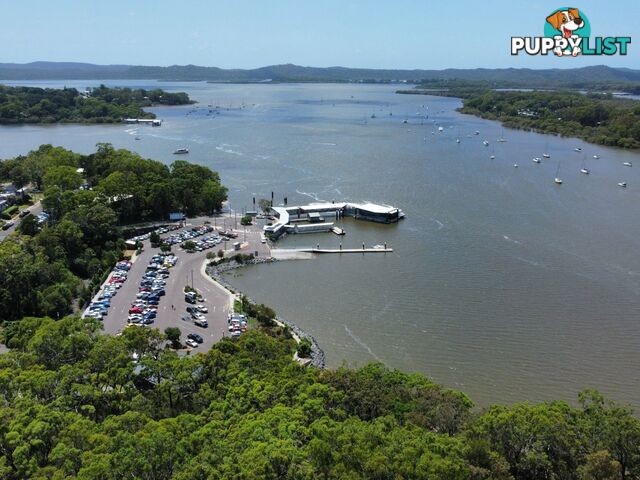 6 Cliff Terrace MACLEAY ISLAND QLD 4184