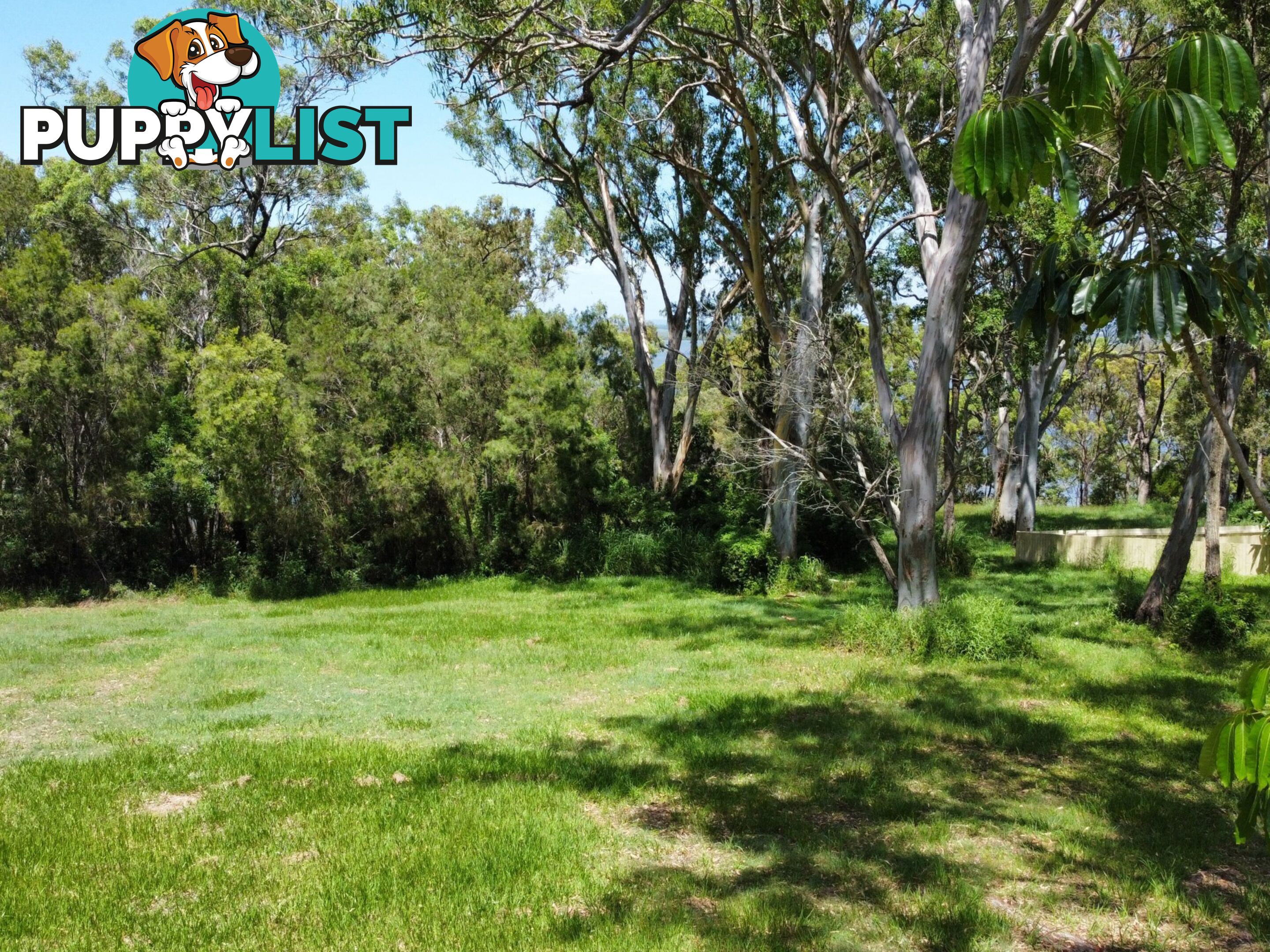 6 Cliff Terrace MACLEAY ISLAND QLD 4184