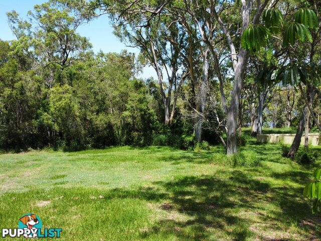 6 Cliff Terrace MACLEAY ISLAND QLD 4184