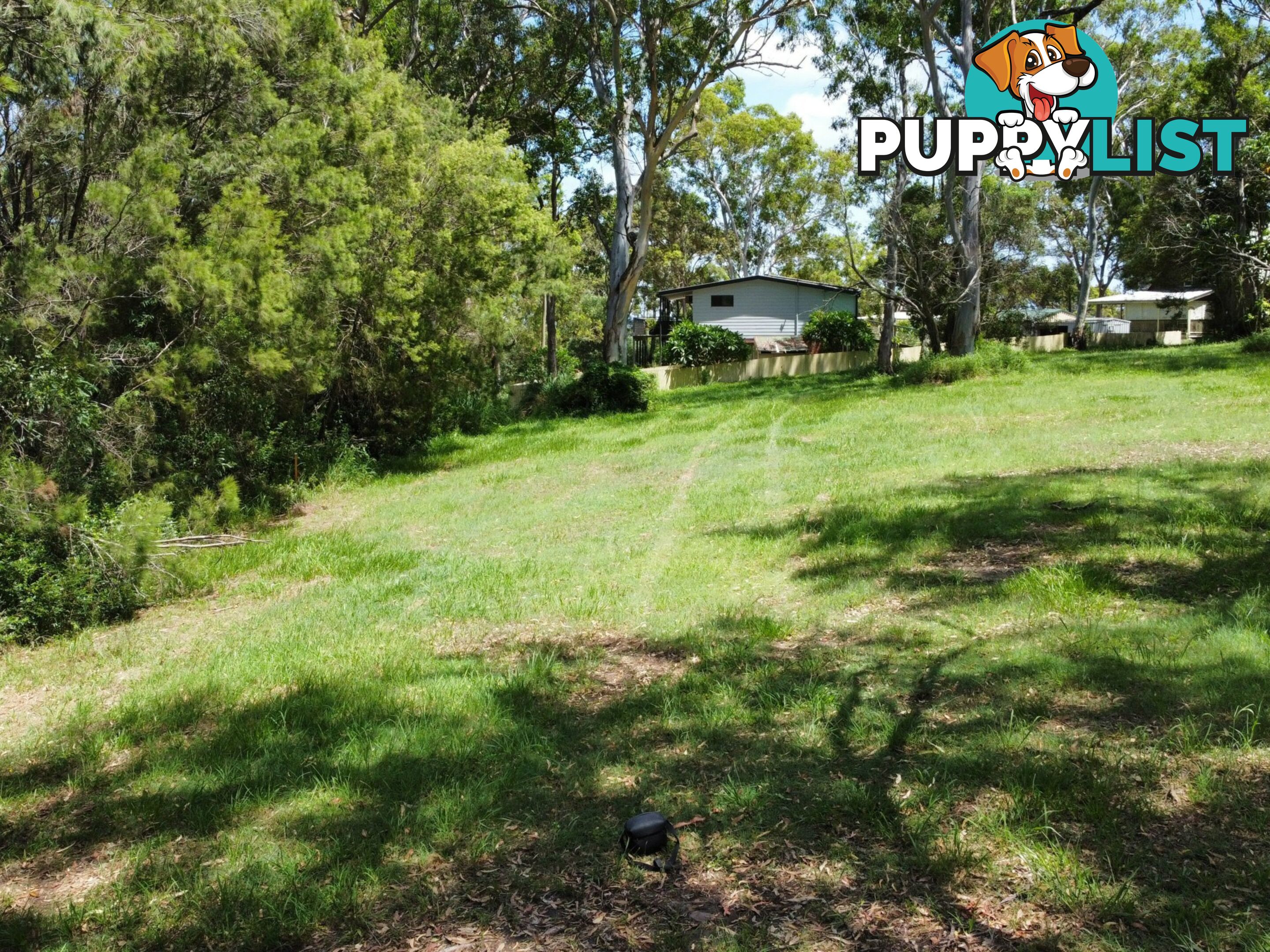 6 Cliff Terrace MACLEAY ISLAND QLD 4184