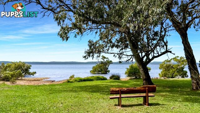 32 Warama Street MACLEAY ISLAND QLD 4184