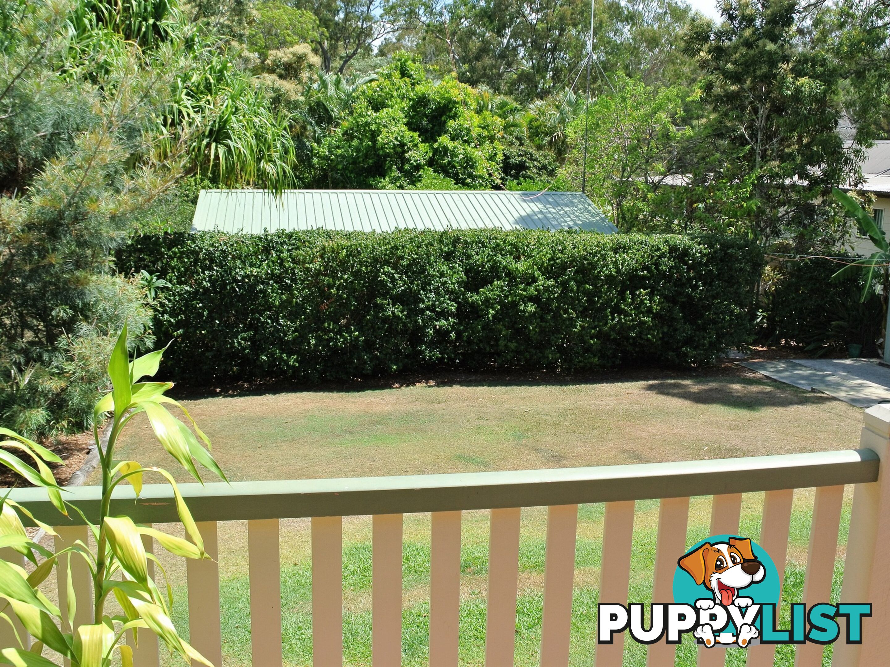 4 Cathy Street MACLEAY ISLAND QLD 4184