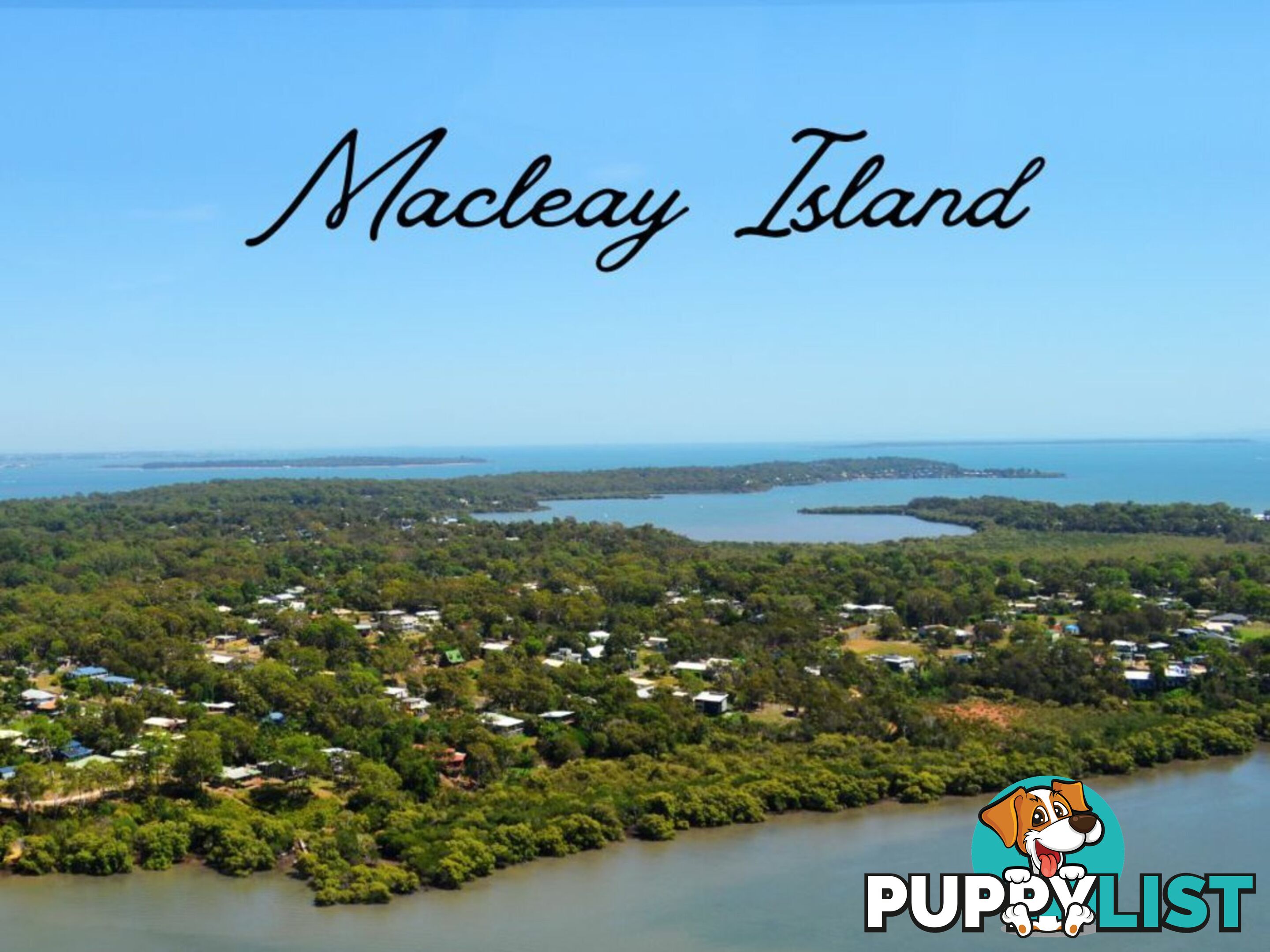 9 Boat Harbour Avenue MACLEAY ISLAND QLD 4184