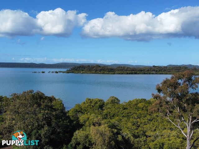 9 Boat Harbour Avenue MACLEAY ISLAND QLD 4184