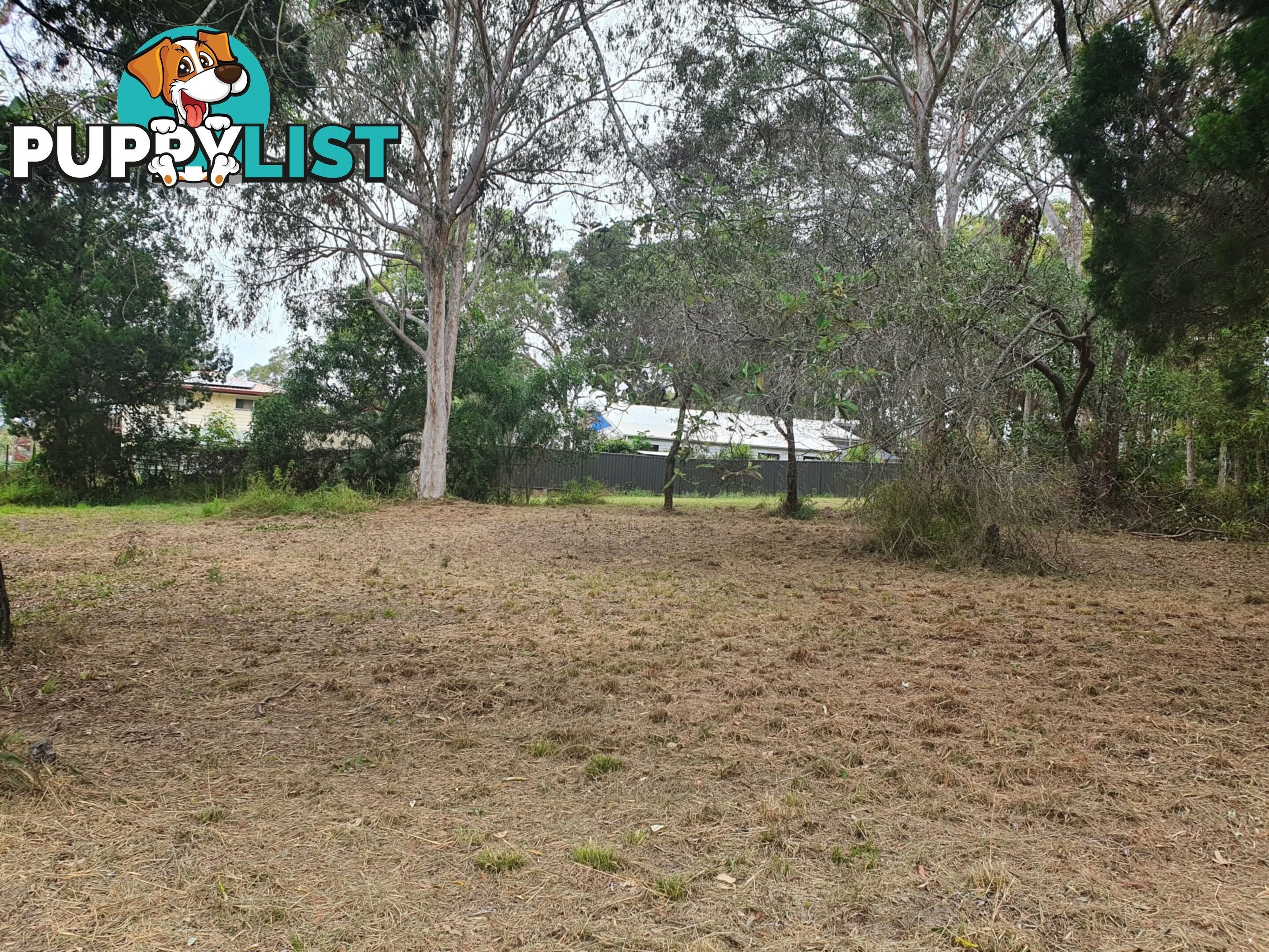 116 Kate Street MACLEAY ISLAND QLD 4184