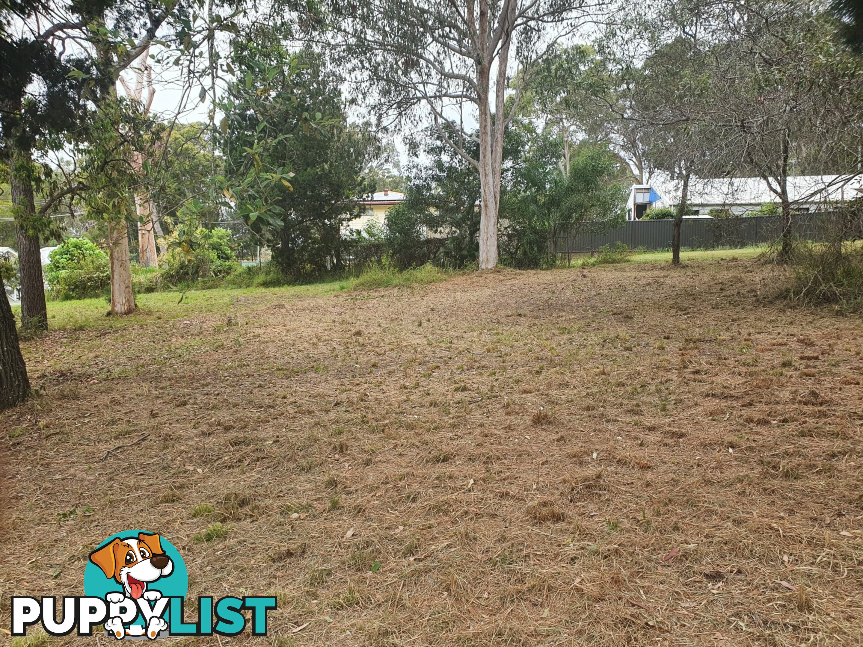 116 Kate Street MACLEAY ISLAND QLD 4184