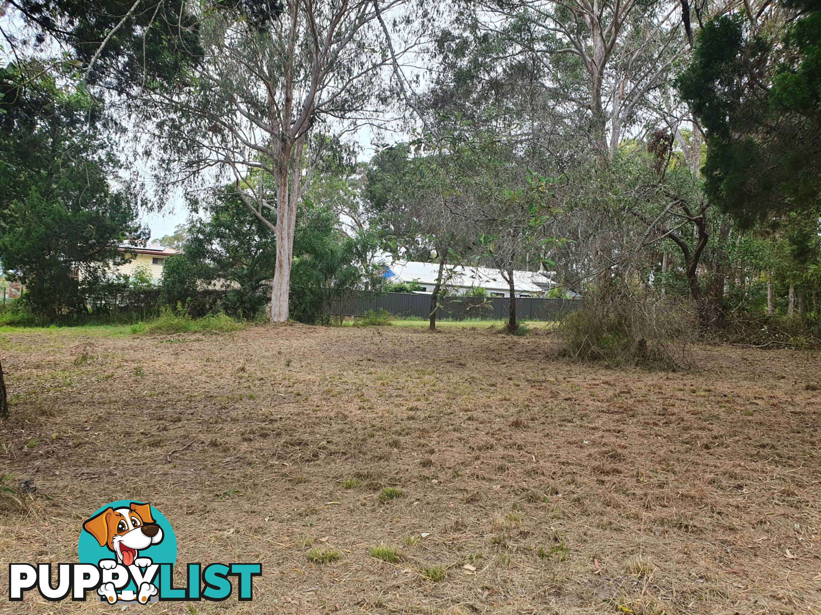 116 Kate Street MACLEAY ISLAND QLD 4184