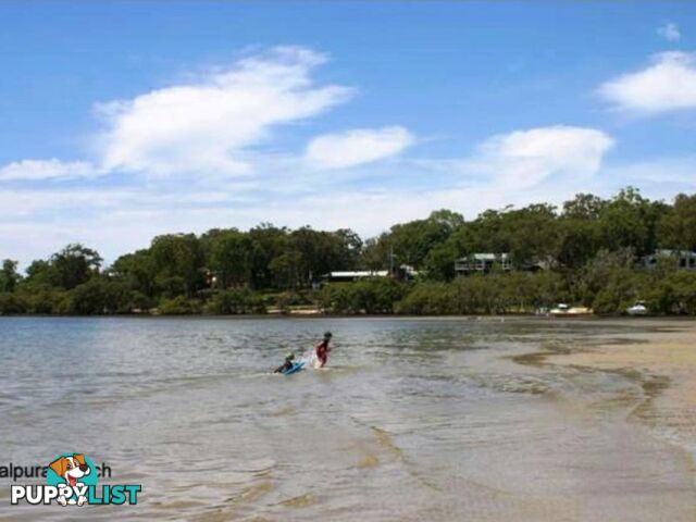 143 Kate Street MACLEAY ISLAND QLD 4184