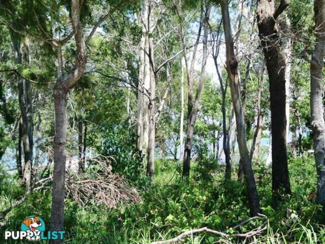 143 Kate Street MACLEAY ISLAND QLD 4184