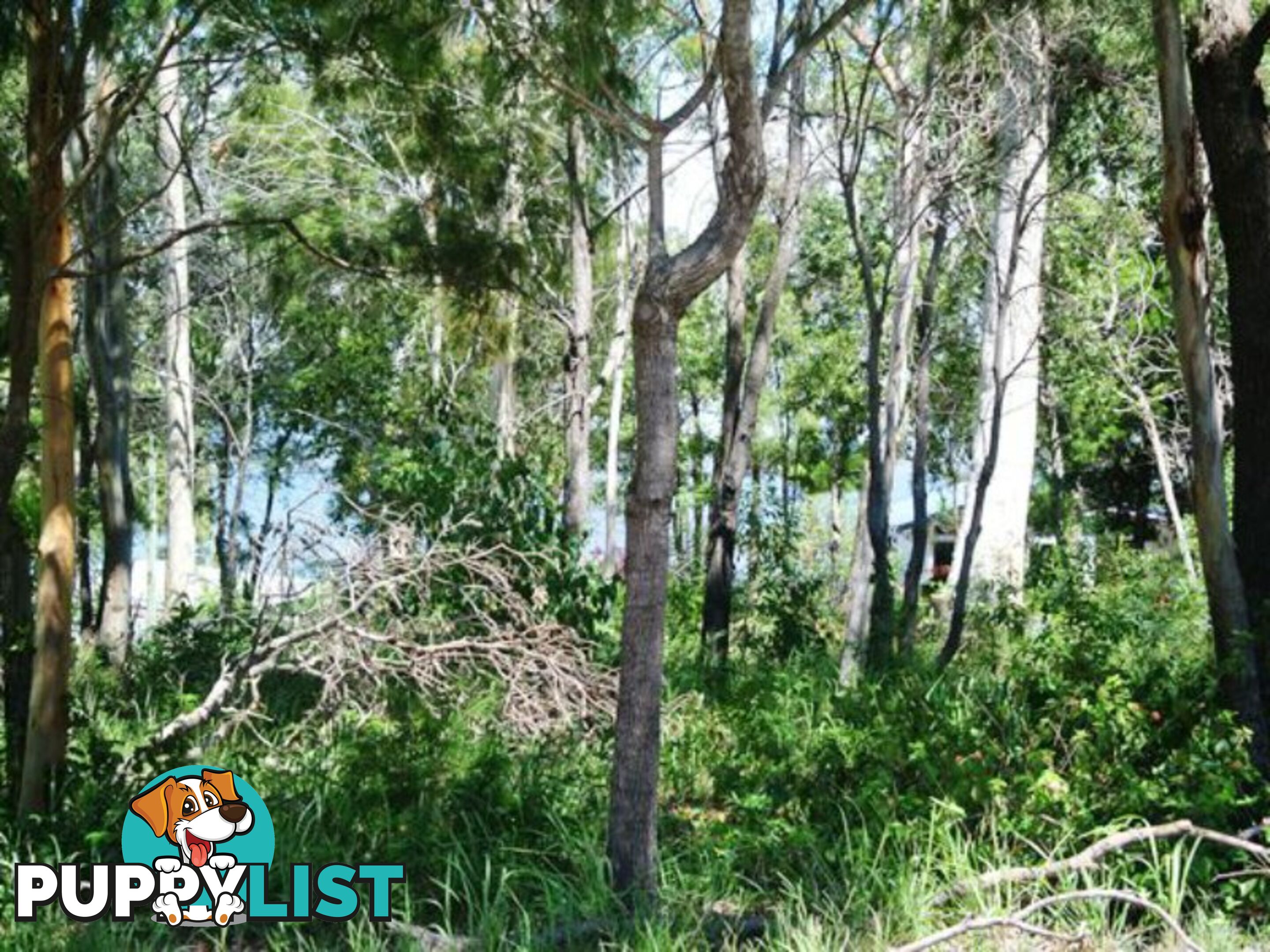 143 Kate Street MACLEAY ISLAND QLD 4184