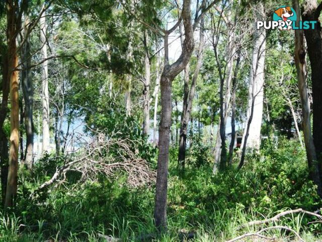 143 Kate Street MACLEAY ISLAND QLD 4184