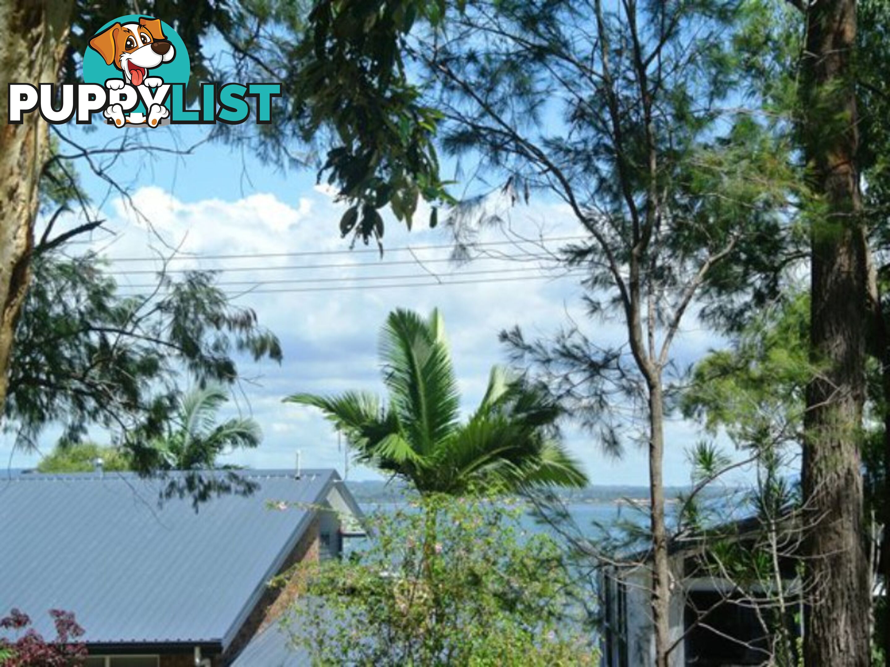 143 Kate Street MACLEAY ISLAND QLD 4184