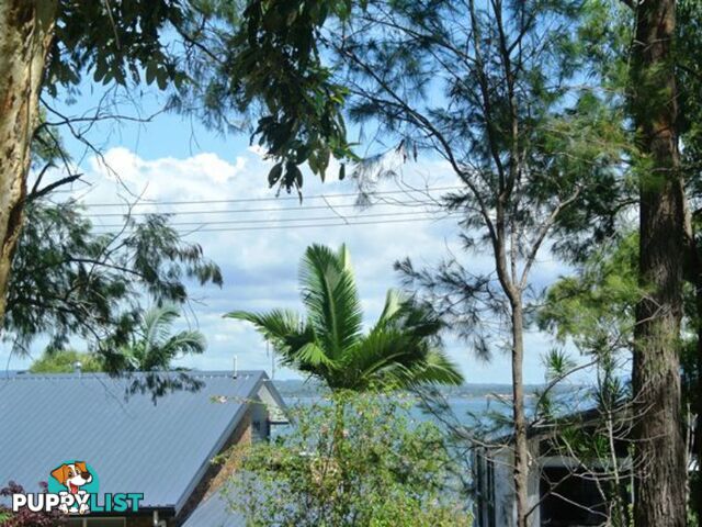 143 Kate Street MACLEAY ISLAND QLD 4184