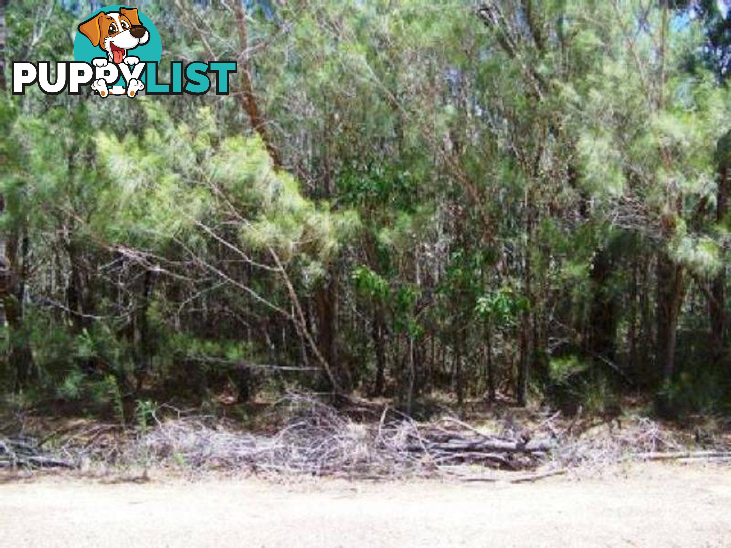 Lot 17 Belar Street LAMB ISLAND QLD 4184