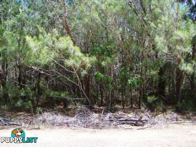 Lot 17 Belar Street LAMB ISLAND QLD 4184