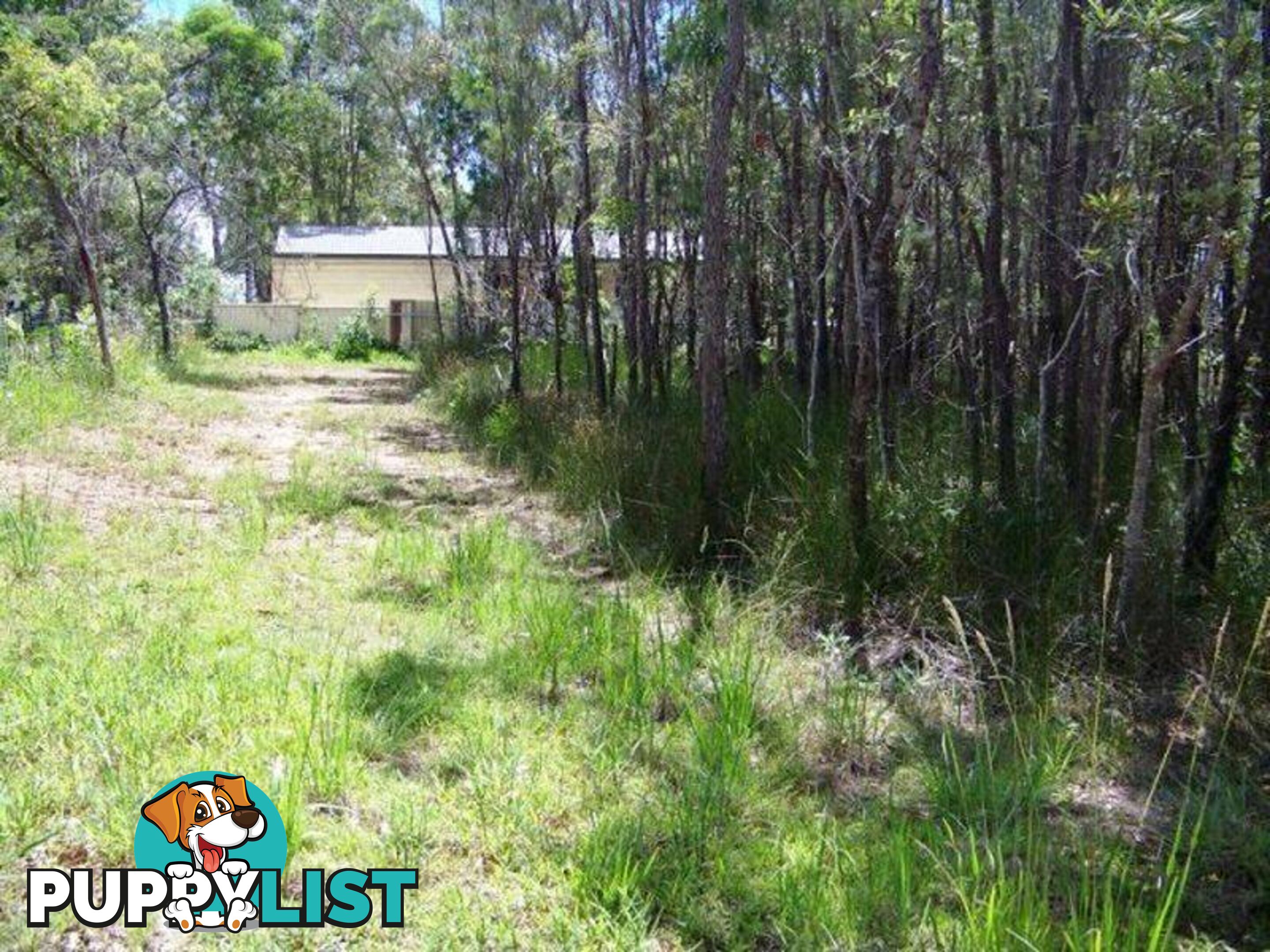 Lot 17 Belar Street LAMB ISLAND QLD 4184