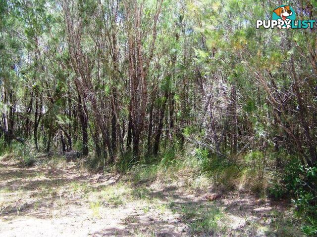 Lot 17 Belar Street LAMB ISLAND QLD 4184