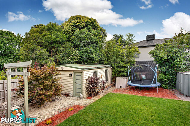 53 Canterbury Road Heathmont VIC 3135