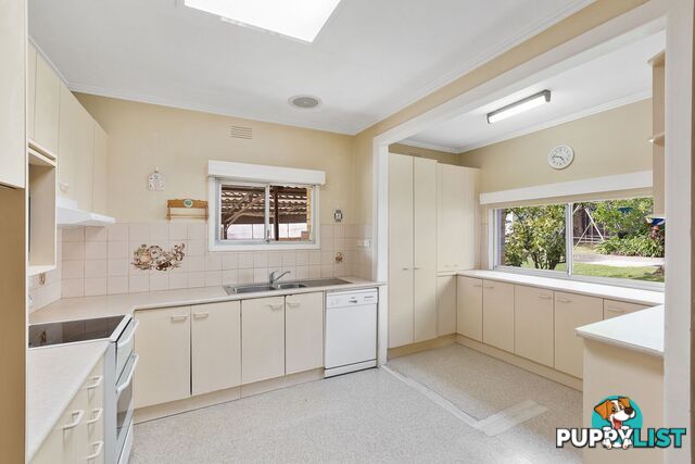 95 Campbell Street HEATHMONT VIC 3135