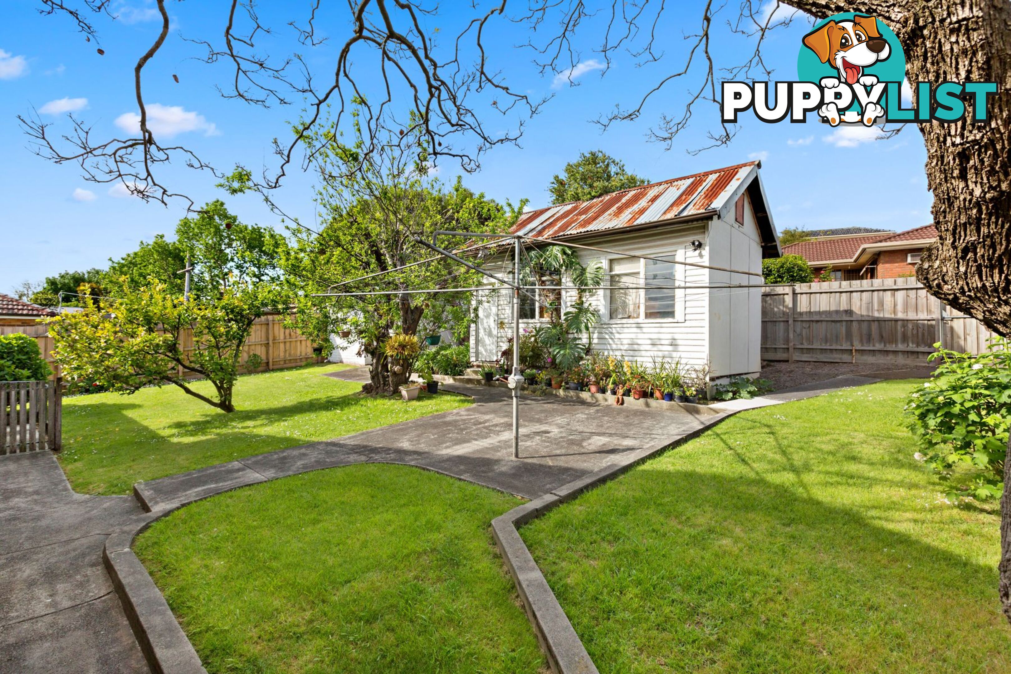 95 Campbell Street HEATHMONT VIC 3135