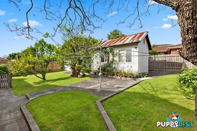 95 Campbell Street HEATHMONT VIC 3135