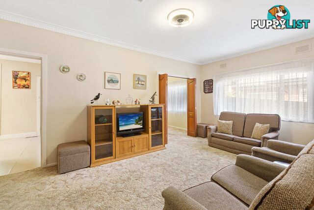 95 Campbell Street HEATHMONT VIC 3135