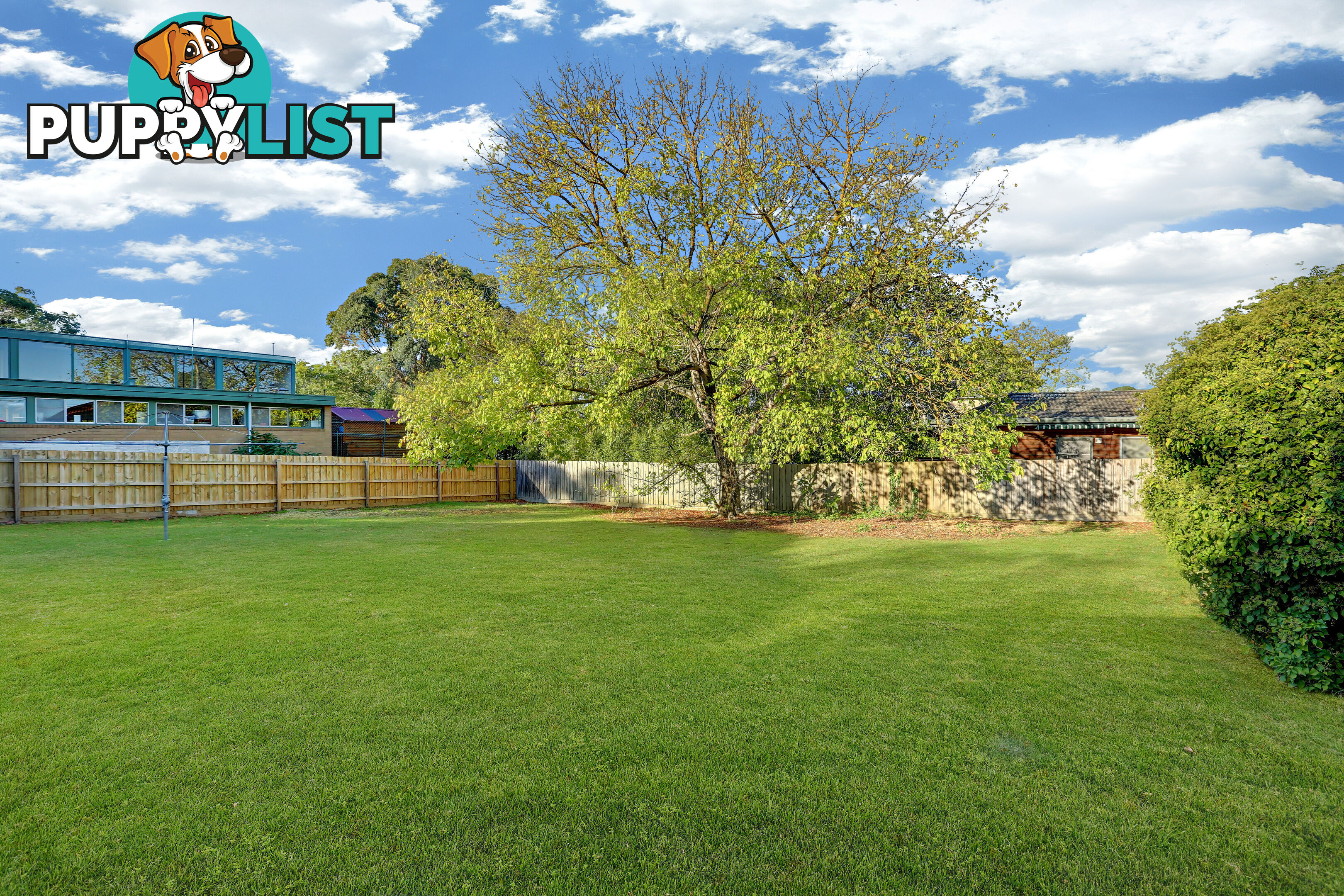 36 Gracedale Avenue RINGWOOD EAST VIC 3135