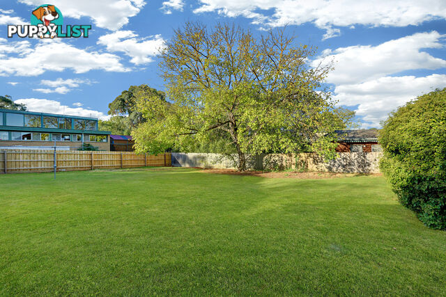 36 Gracedale Avenue RINGWOOD EAST VIC 3135