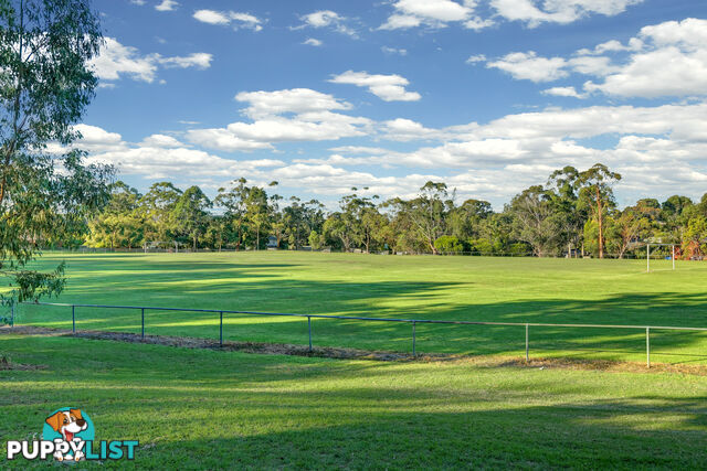 36 Gracedale Avenue RINGWOOD EAST VIC 3135