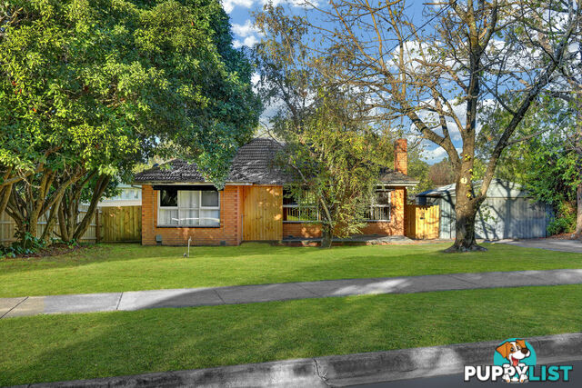 36 Gracedale Avenue RINGWOOD EAST VIC 3135