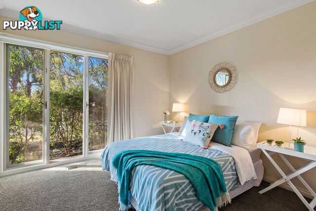 7 Samuel Street RINGWOOD VIC 3134