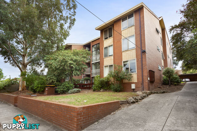 10 8-10 Howard Street BOX HILL VIC 3128