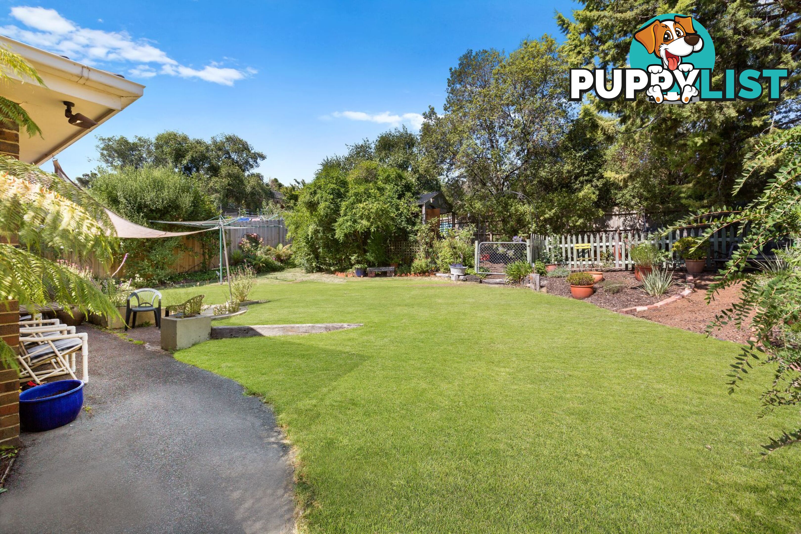 15A Allens Road HEATHMONT VIC 3135