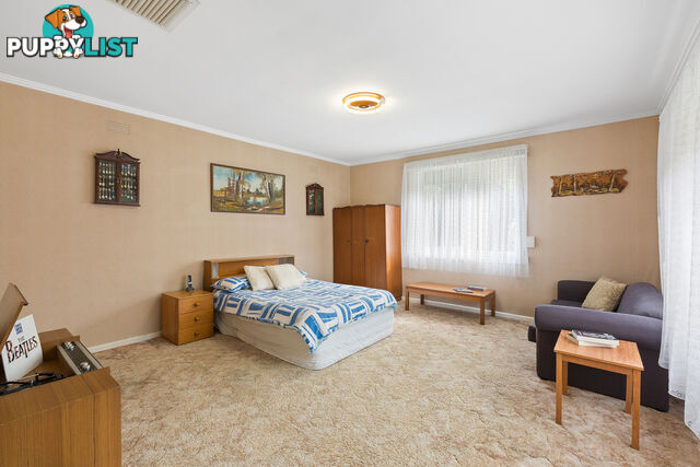 95 Campbell Street HEATHMONT VIC 3135