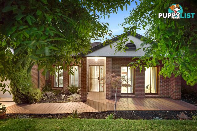 3 Selma Close LYNBROOK VIC 3975