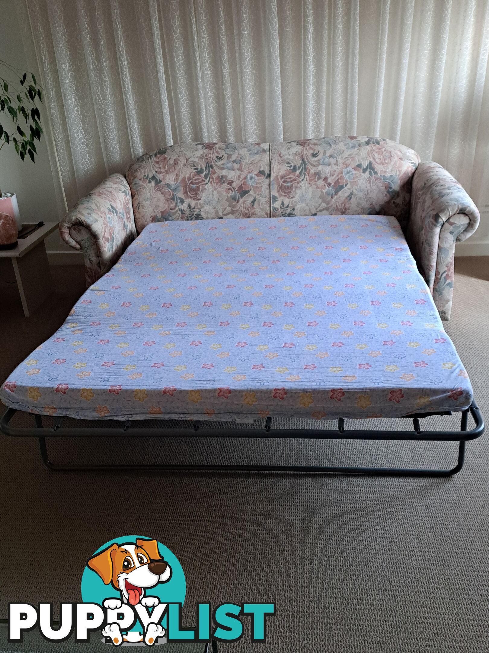 Sofa Bed